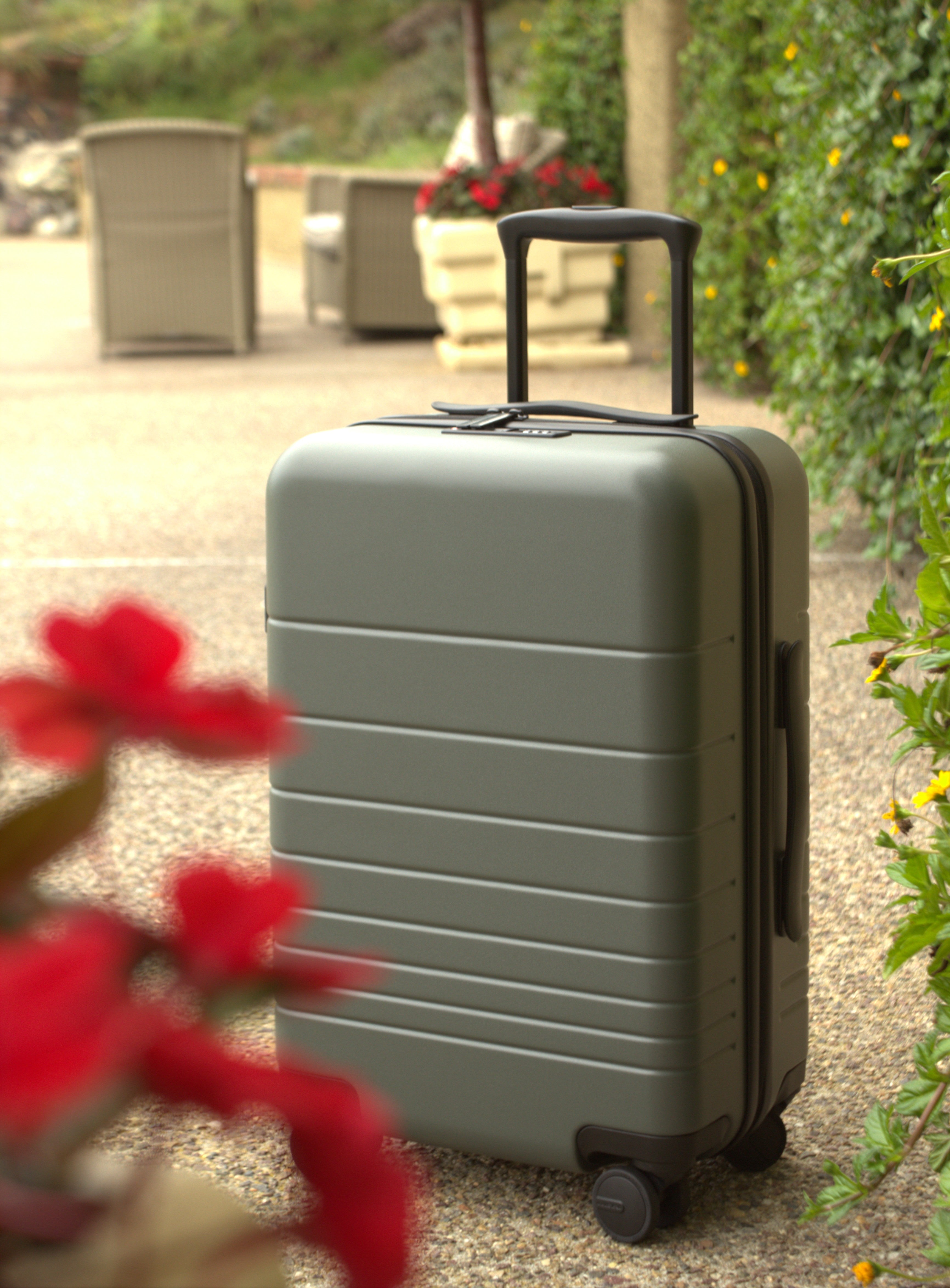 Carry On Essential in Pine